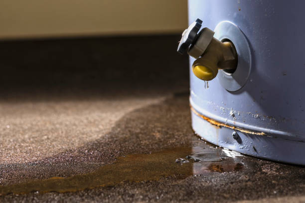 Carpet water damage restoration in Steiner Ranch, TX