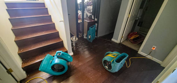 Best Residential water damage restoration  in Steiner Ranch, TX