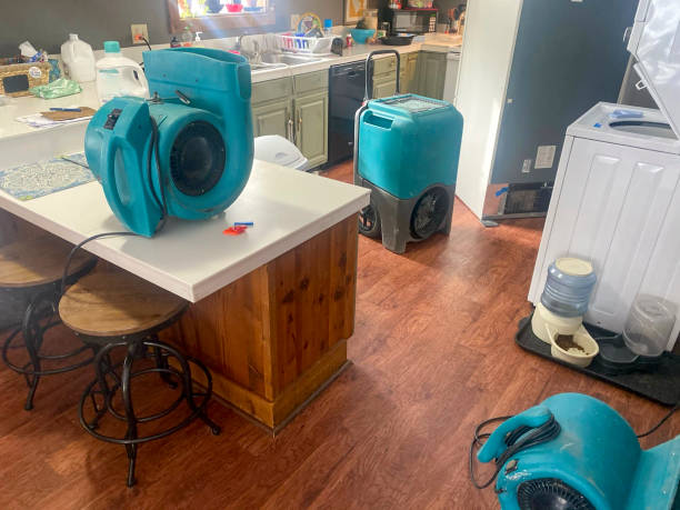 Best Water damage contractors near me  in Steiner Ranch, TX