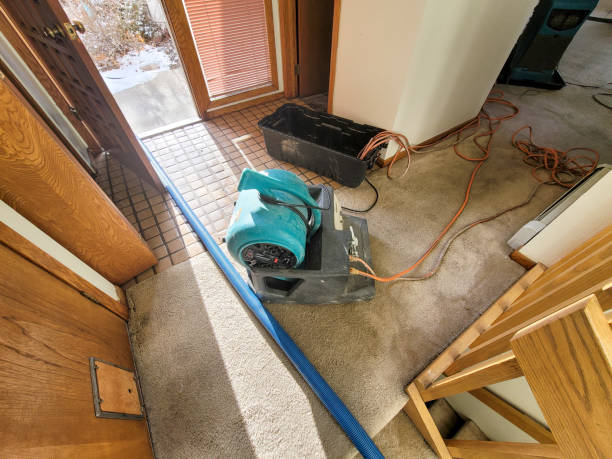 Best 24/7 water damage repair  in Steiner Ranch, TX
