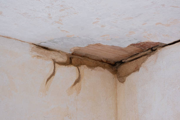 Best Flood damage cleanup  in Steiner Ranch, TX