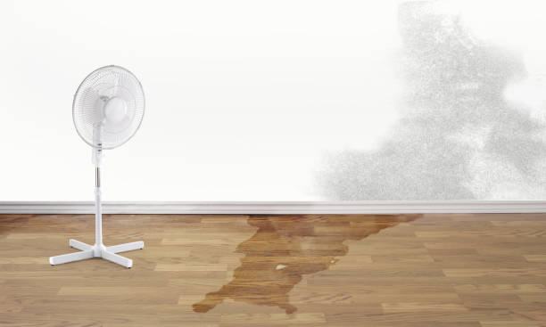 Best Water damage restoration near me  in Steiner Ranch, TX