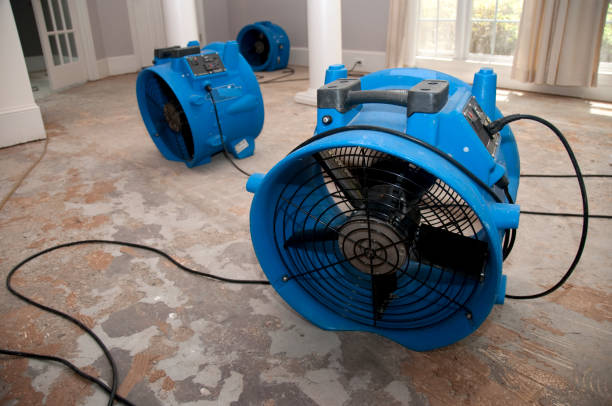 Best Flooded house restoration  in Steiner Ranch, TX