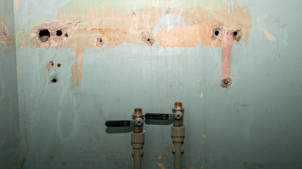 Best Water damage restoration near me  in Steiner Ranch, TX