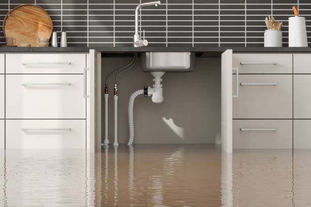 Best Water damage repair service  in Steiner Ranch, TX