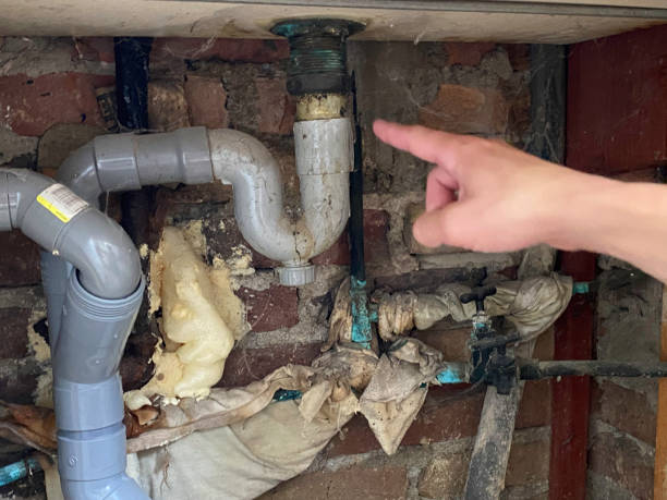Best Water damage restoration specialists  in Steiner Ranch, TX