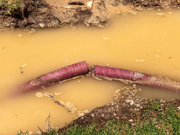 Best Flood damage cleanup  in Steiner Ranch, TX