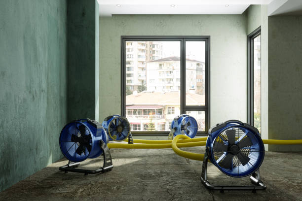 Best Water damage restoration services  in Steiner Ranch, TX